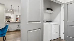 Frisco Apartments With In-Unit Laundry